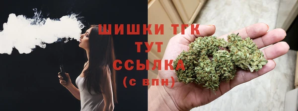 PSILOCYBIN Баксан