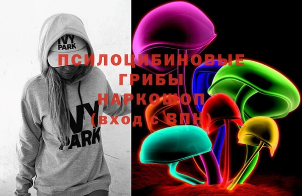 PSILOCYBIN Баксан