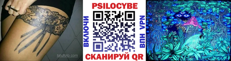 Купить закладки  Горно-Алтайск  Псилоцибиновые грибы Magic Shrooms 